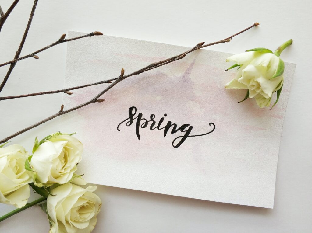 Frühlingsdeko in Form von einer Karte und weißen Rosen
